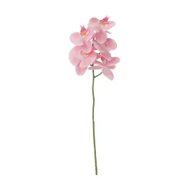 Art Flower Real Touch Phalaenopsis Light Pink